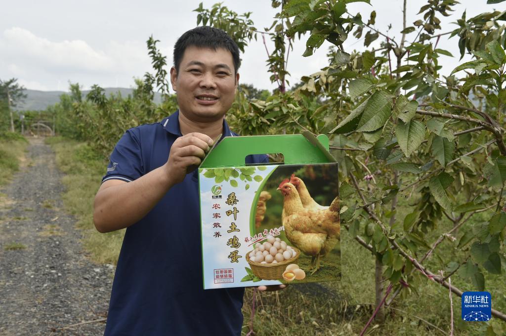 线上赌钱网